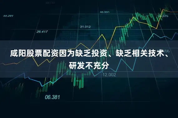 咸阳股票配资因为缺乏投资、缺乏相关技术、研发不充分