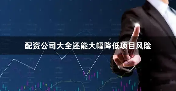 配资公司大全还能大幅降低项目风险