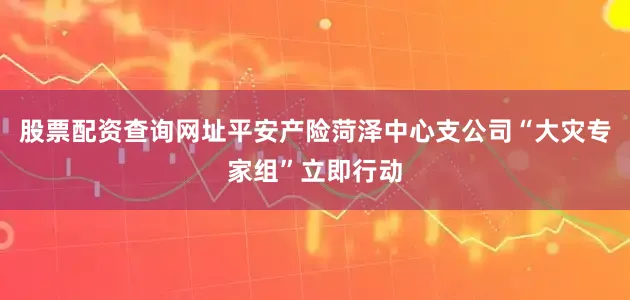 股票配资查询网址平安产险菏泽中心支公司“大灾专家组”立即行动