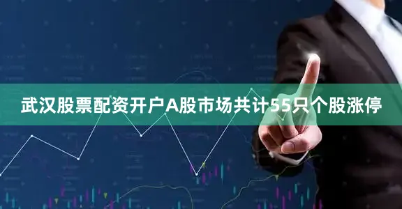 武汉股票配资开户A股市场共计55只个股涨停