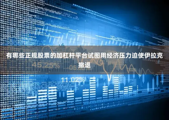 有哪些正规股票的加杠杆平台试图用经济压力迫使伊拉克撤退