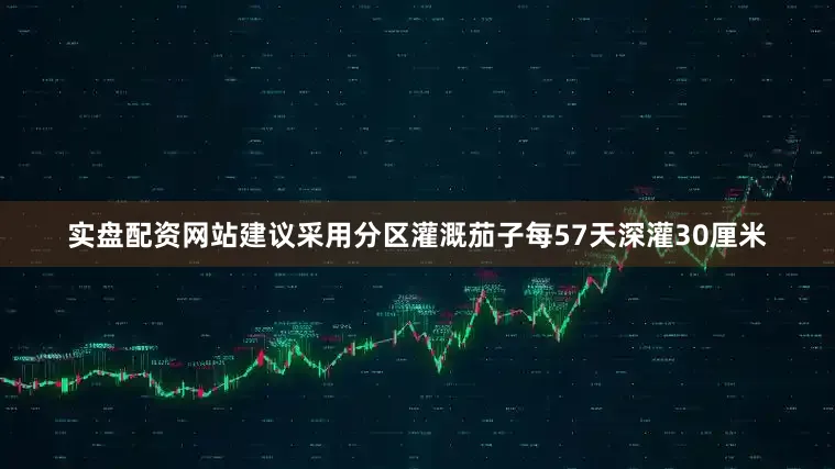 实盘配资网站建议采用分区灌溉茄子每57天深灌30厘米