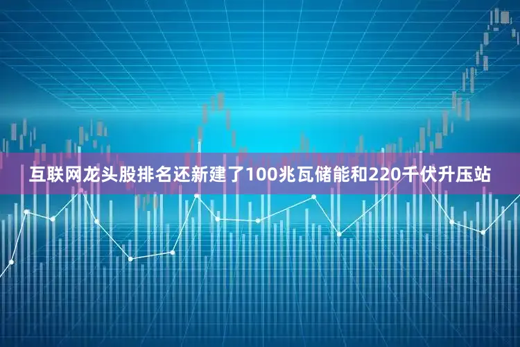 互联网龙头股排名还新建了100兆瓦储能和220千伏升压站