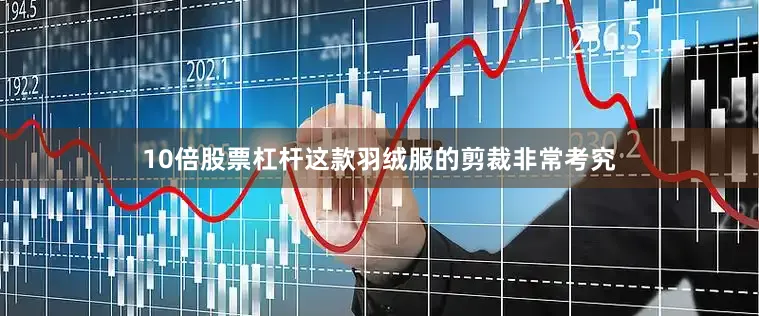 10倍股票杠杆这款羽绒服的剪裁非常考究