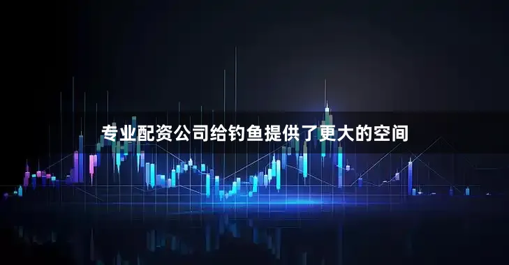 专业配资公司给钓鱼提供了更大的空间